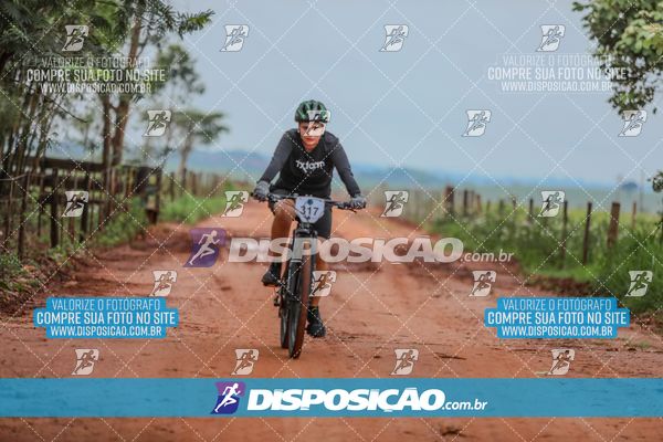 Foto 8101487
