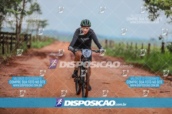 Foto 8101491