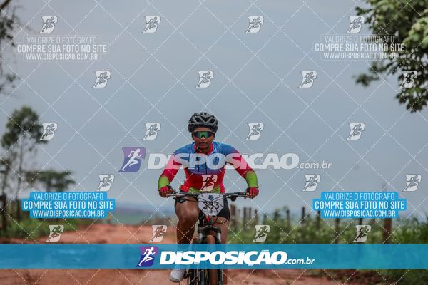 Foto 8101506