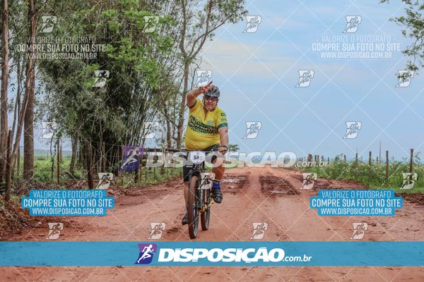 Foto 8101514
