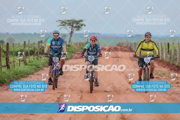Foto 8101523