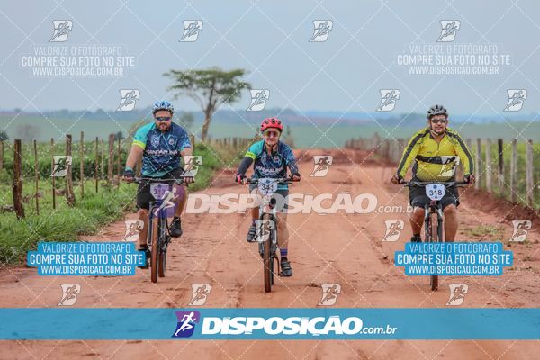 Foto 8101518