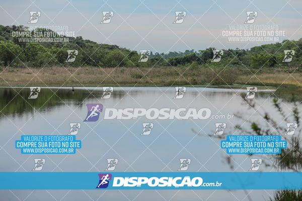 Foto 8101552