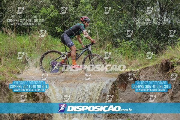 Foto 8101593