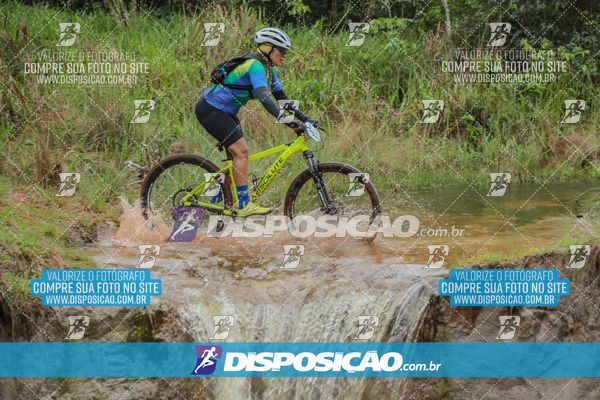 Foto 8101660