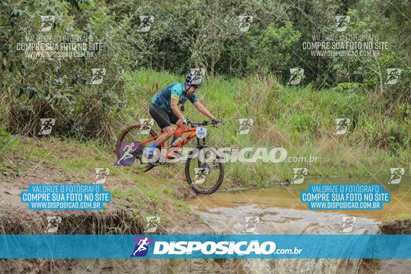 Foto 8101692