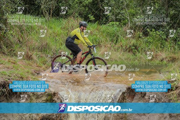 Foto 8101731