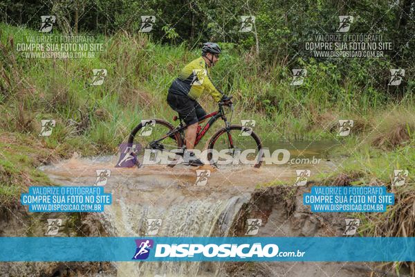 Foto 8101732