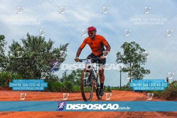 Foto 8110599