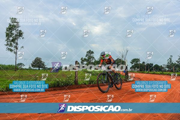 Foto 8110608