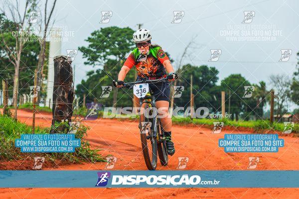 Foto 8110638