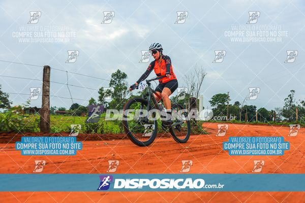 Foto 8110662