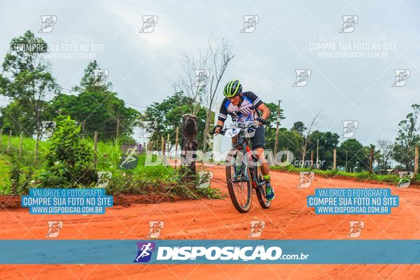 Foto 8110660