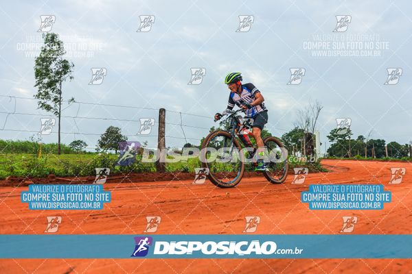 Foto 8110663