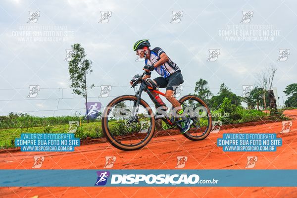 Foto 8110661