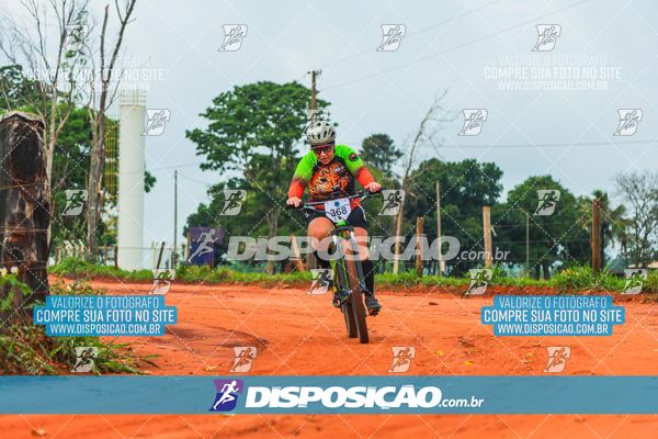 Foto 8110665