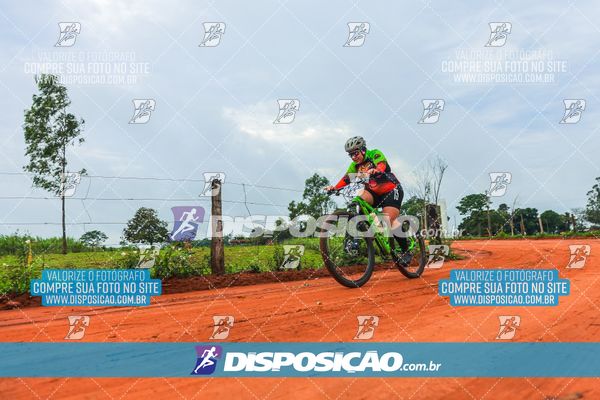 Foto 8110668