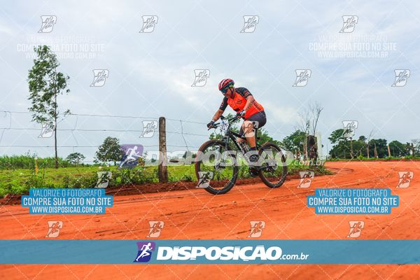 Foto 8110672