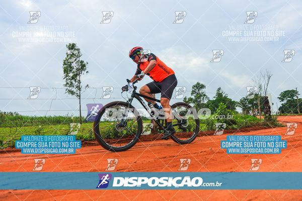 Foto 8110673