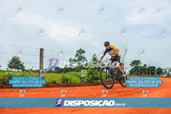 Foto 8110677