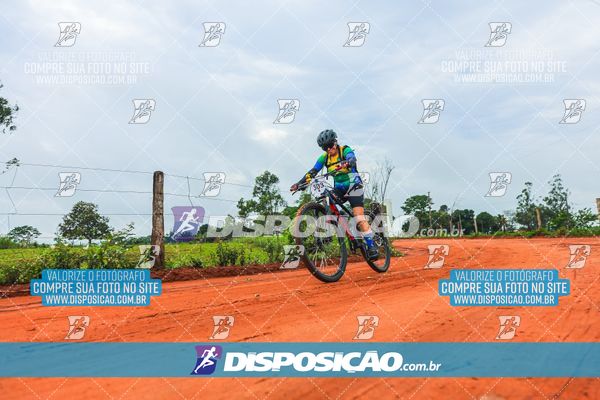 Foto 8110704