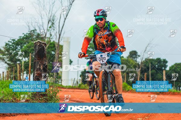 Foto 8110718