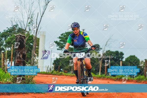 Foto 8110719