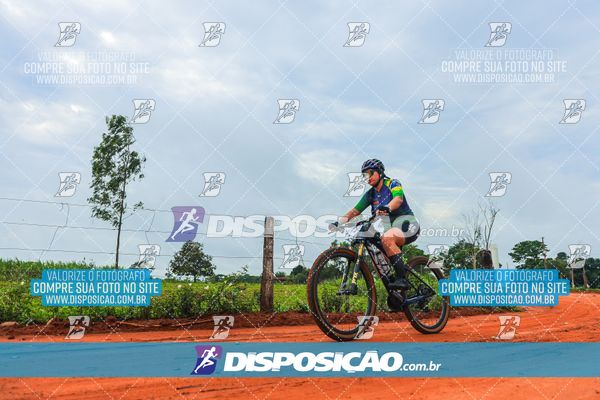 Foto 8110721
