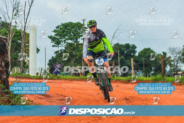 Foto 8110720