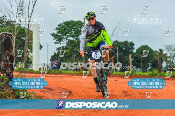 Foto 8110725