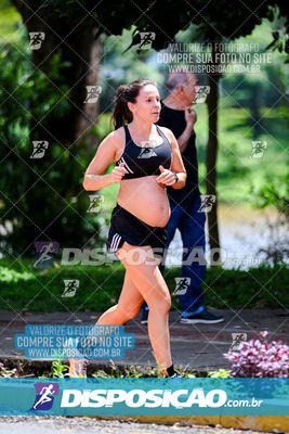 Foto 8120561