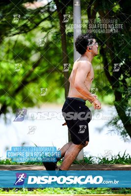 Foto 8121007