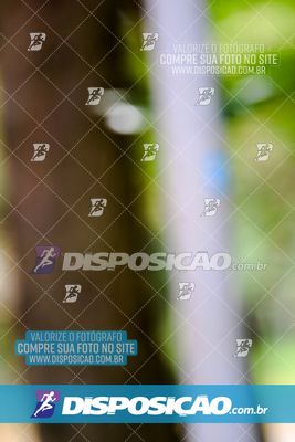 Foto 8121041