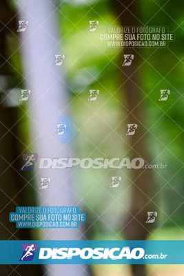 Foto 8121040