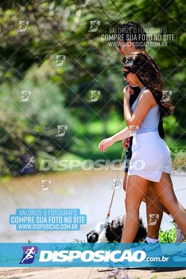 Foto 8121144