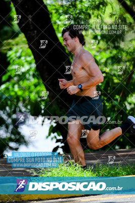 Foto 8121180