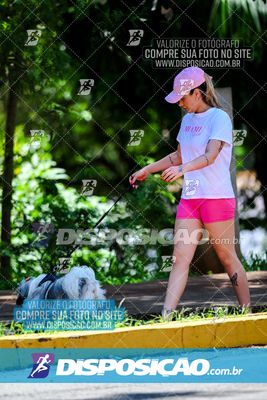 Foto 8121288