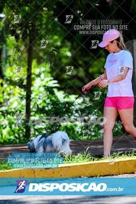 Foto 8121296