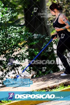 Foto 8121322
