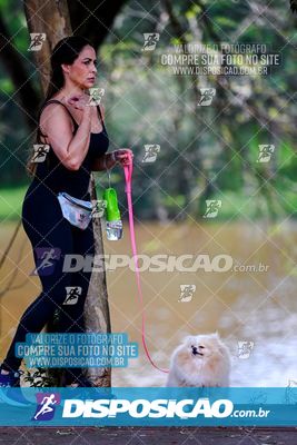 Foto 8121969