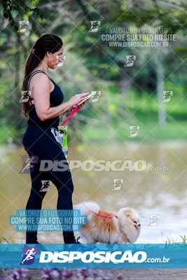 Foto 8121976