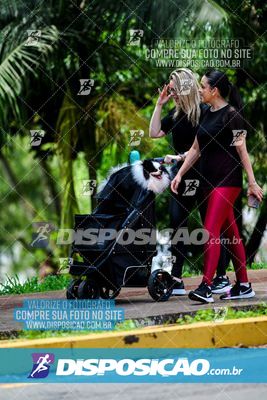 Foto 8122182