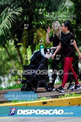 Foto 8122184