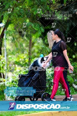 Foto 8122185