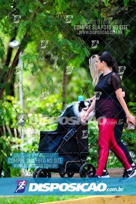 Foto 8122187