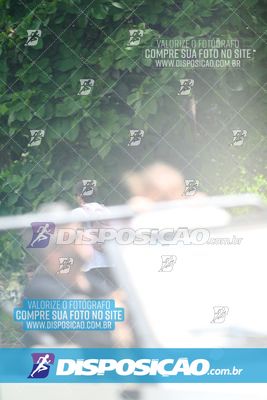 Foto 8123945