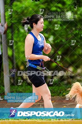 Foto 8124088