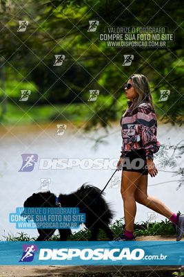Foto 8124983