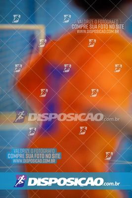 Foto 8131828