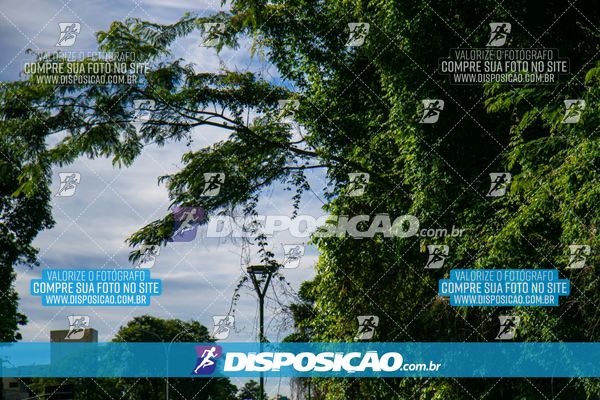 Foto 8126994